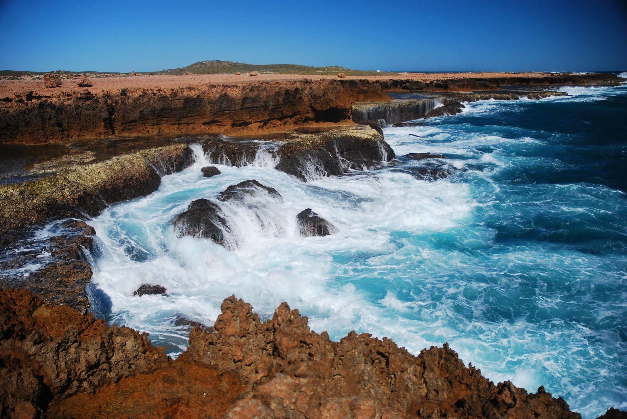 Discovery Parks - Carnarvon Luaran gambar