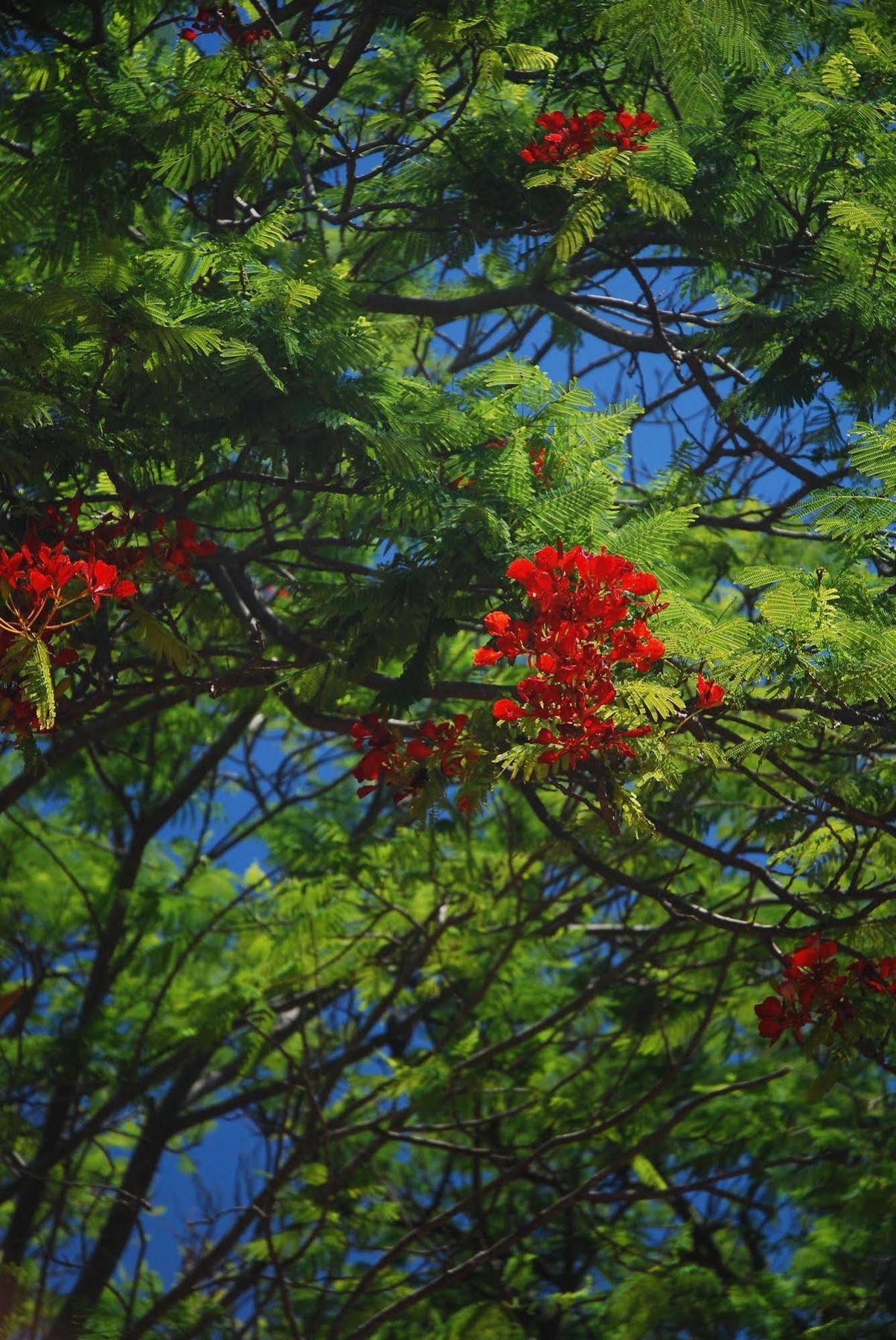 Discovery Parks - Carnarvon Luaran gambar